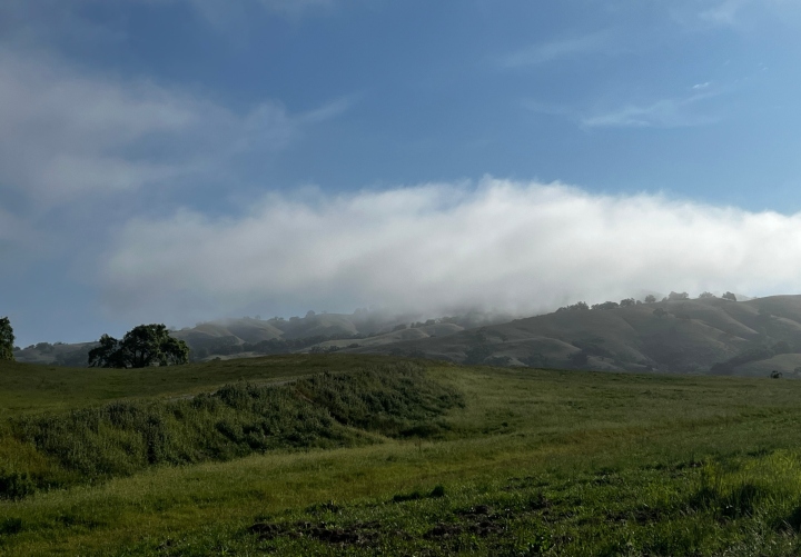 Herp Habitat
